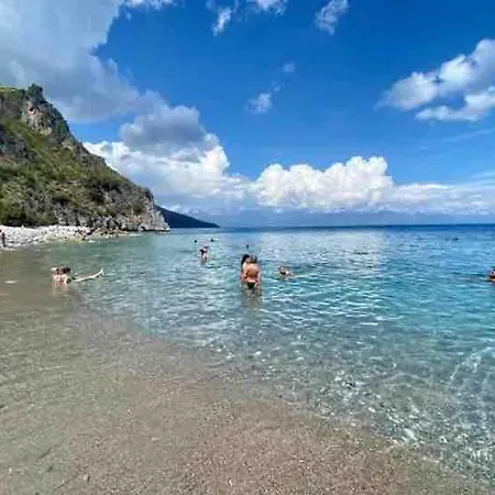 Antema * Scario